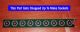 320-Socket-Strip.jpg